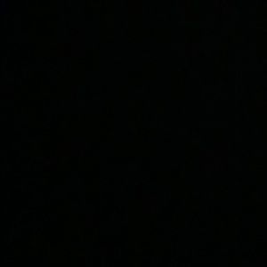 Meet your Posher, Cheyenne